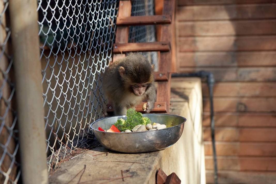 Otobüsle gönderilen koliyi kimse almayınca şoke eden gerçek ortaya çıktı! Hiç kimse bu kadar absürtlüğü tahmin edemezdi 20